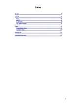 Referāts 'Backup izveidošana', 2.