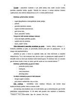 Referāts 'Reklāmas tiesiskā regulēšana', 19.