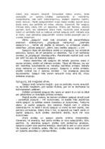 Eseja 'Spogulis kā zīme dzīvē un literatūrā', 2.