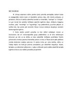 Referāts 'Kārļa Ulmaņa autoritārā režīma atspoguļojums Ingas Gailes romānā “Stikli”', 15.