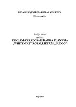 Referāts 'Reklāmas radošais darba plāns SIA "White Cat" rotaļlietām "Ludoo"', 1.
