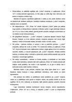 Referāts 'Reklāmas radošais darba plāns SIA "White Cat" rotaļlietām "Ludoo"', 11.