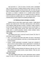 Referāts 'Reklāmas radošais darba plāns SIA "White Cat" rotaļlietām "Ludoo"', 12.