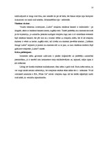 Referāts 'Reklāmas radošais darba plāns SIA "White Cat" rotaļlietām "Ludoo"', 18.