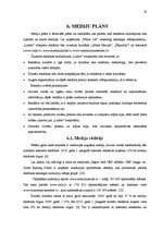 Referāts 'Reklāmas radošais darba plāns SIA "White Cat" rotaļlietām "Ludoo"', 19.