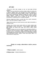 Referāts 'Rotaļas kā svarīga sākumskolas mācību procesa sastāvdaļa', 1.