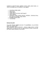 Referāts 'Rotaļas kā svarīga sākumskolas mācību procesa sastāvdaļa', 9.