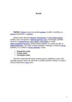 Referāts 'Optika', 3.