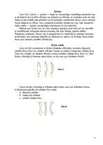 Referāts 'Optika', 11.