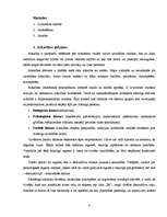 Referāts 'Pusaudžu internetatkarība', 3.