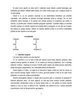 Referāts 'Pusaudžu internetatkarība', 6.