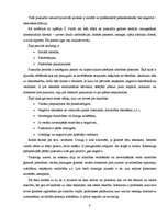 Referāts 'Pusaudžu internetatkarība', 7.