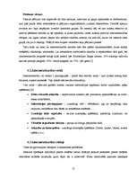 Referāts 'Pusaudžu internetatkarība', 12.