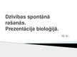 Prezentācija 'Dzīvības spontānā rašanās', 1.