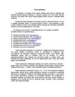 Konspekts 'Veicināšanas plāns Interaktīvo karšu portālam www.uzkartes.lv', 8.