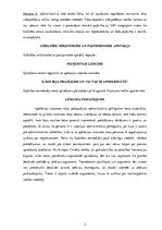 Konspekts 'Amatu savienošanas ierobežojumu izpildes kārtības neievērošana. Administratīvo t', 3.