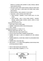 Diplomdarbs 'Kredītiestāžu darbības analīze Latvijas finanšu tirgū 2004.-2011.gadā', 17.