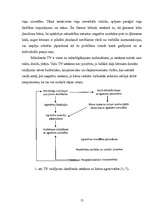 Referāts 'Mūsdienu ģimene un tās ietekme uz bērna personības attīstību', 12.