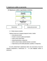 Biznesa plāns 'SIA "Paradise Beach"', 12.