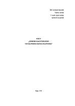 Eseja 'Ģimenes raksturojums sociālpsiholoģiskā skatījumā', 1.