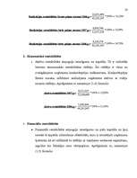 Referāts 'Peļņa un tās rādītāji', 20.