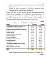 Referāts 'Peļņa un tās rādītāji', 25.