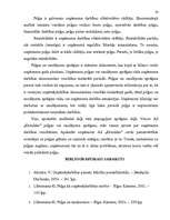 Referāts 'Peļņa un tās rādītāji', 28.