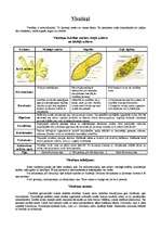 Konspekts 'Vienšūņi, zarndobumaiņi un plakantārpi', 1.