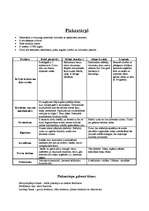 Konspekts 'Vienšūņi, zarndobumaiņi un plakantārpi', 3.