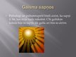 Prezentācija 'Gaisma', 7.