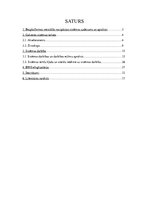 Referāts 'Bezplatformas inerciālās navigācijas sistēmas  kā gaisakuģu elektroniskās iekārt', 1.