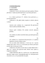 Referāts 'Bezplatformas inerciālās navigācijas sistēmas  kā gaisakuģu elektroniskās iekārt', 4.