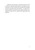 Referāts 'Bezplatformas inerciālās navigācijas sistēmas  kā gaisakuģu elektroniskās iekārt', 7.