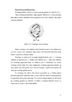 Referāts 'Bezplatformas inerciālās navigācijas sistēmas  kā gaisakuģu elektroniskās iekārt', 11.