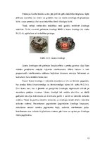 Referāts 'Bezplatformas inerciālās navigācijas sistēmas  kā gaisakuģu elektroniskās iekārt', 13.