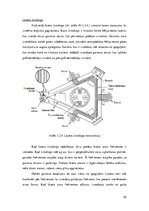 Referāts 'Bezplatformas inerciālās navigācijas sistēmas  kā gaisakuģu elektroniskās iekārt', 25.