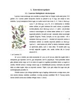 Referāts 'Lucernas populācijas "Aizkraukle" ģenētiskās daudzveidības izvērtējums', 6.