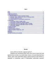 Referāts 'Ilgtermiņa ieguldījumu uzskaite', 2.