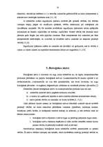 Referāts 'Ilgtermiņa ieguldījumu uzskaite', 19.