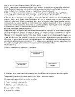 Konspekts 'Diferenciālā psiholoģija', 4.