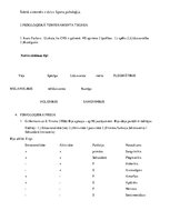 Konspekts 'Diferenciālā psiholoģija', 8.