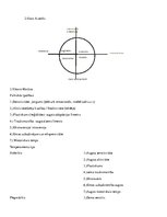 Konspekts 'Diferenciālā psiholoģija', 9.