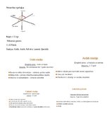 Konspekts 'Diferenciālā psiholoģija', 11.