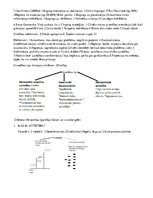 Konspekts 'Diferenciālā psiholoģija', 23.