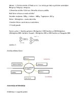Konspekts 'Diferenciālā psiholoģija', 24.