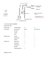 Konspekts 'Diferenciālā psiholoģija', 31.