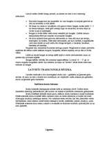 Referāts 'Mūzikas instrumentu vēsture', 6.