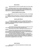 Referāts 'Mūzikas instrumentu vēsture', 9.