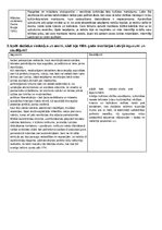 Konspekts '1905.gada revolūcijas sākums, noslēguma fāze un sakāve', 5.