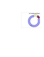 Referāts 'Mārketinga un reklāmas nozīme tūrismā. Aptaujas rezultāti', 17.